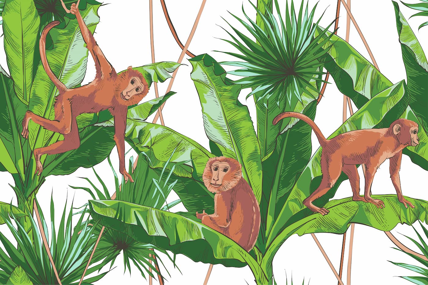 Papier peint jungle tropicale et singes