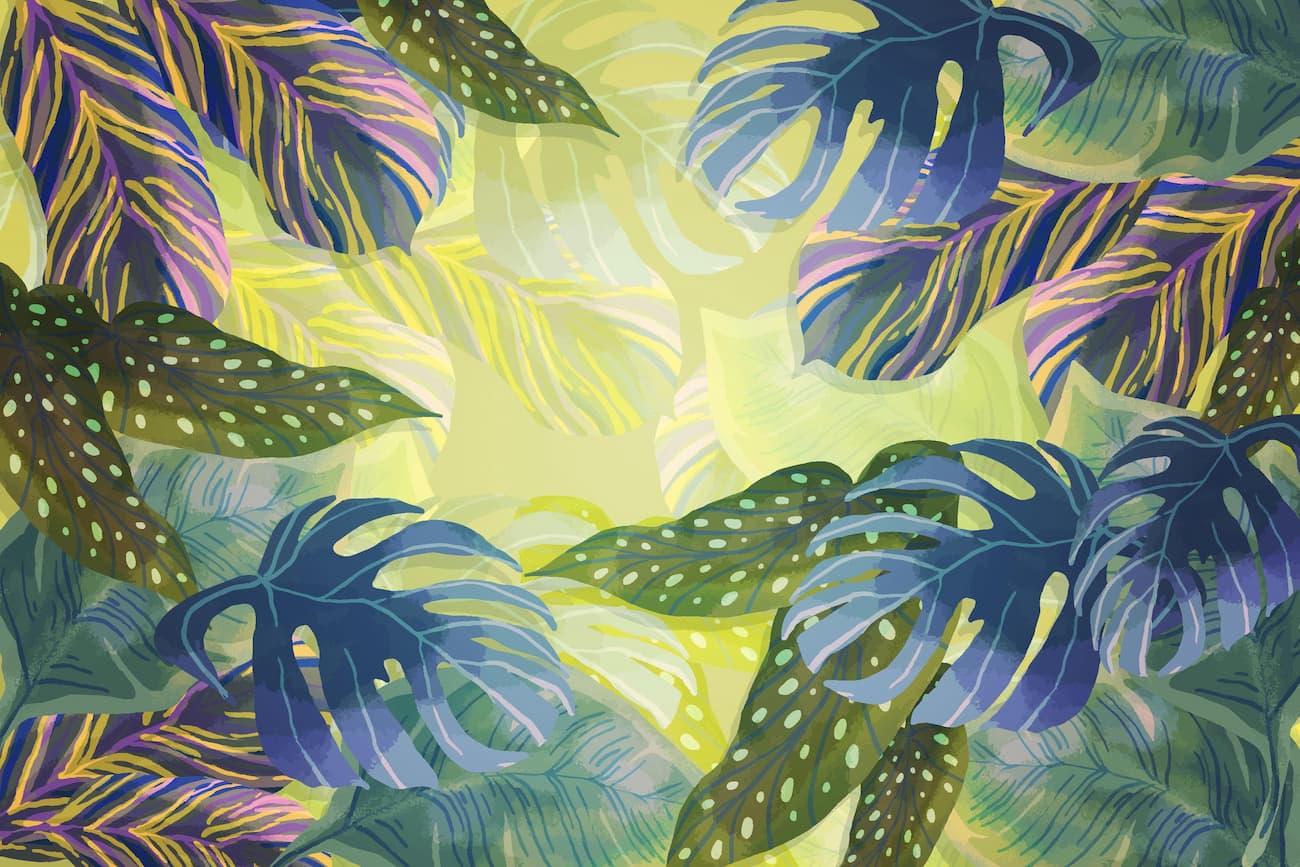 Papier peint abstrait feuillage tropical