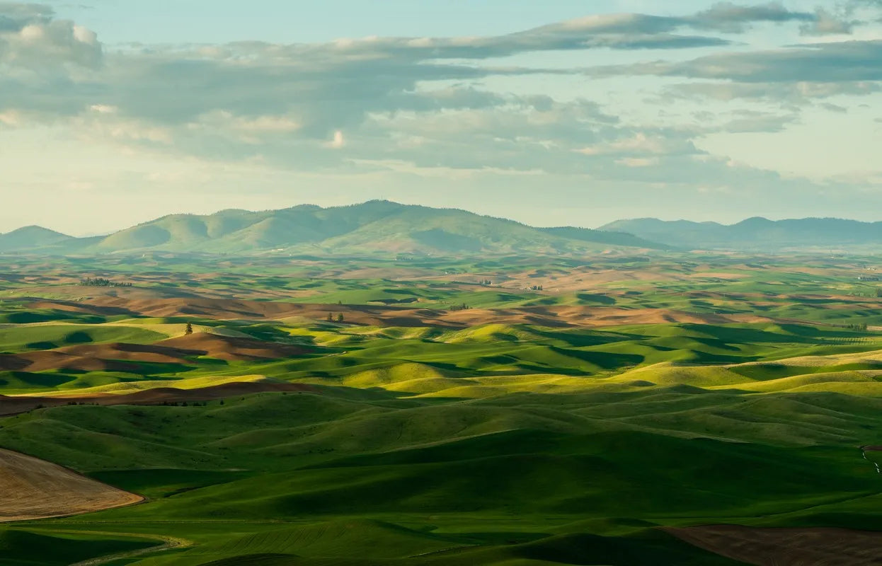 Papier peint plaines et montagnes