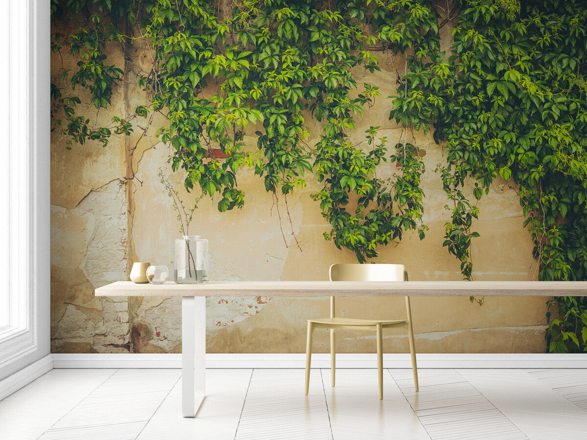 Papier peint mur de vigne
