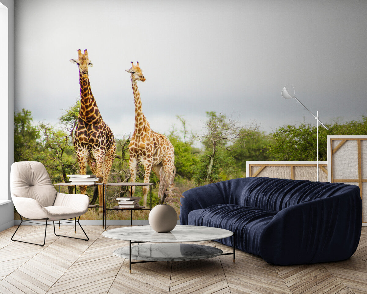Papier peint plantes tropicales et girafes