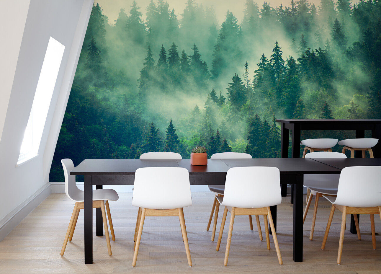 Papier peint paysage panoramique forêt de sapins et brouillard