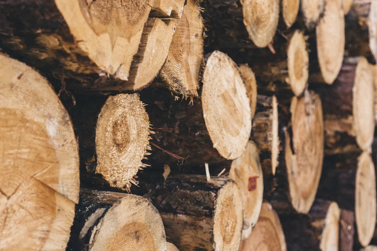 Papier peint rondins de bois