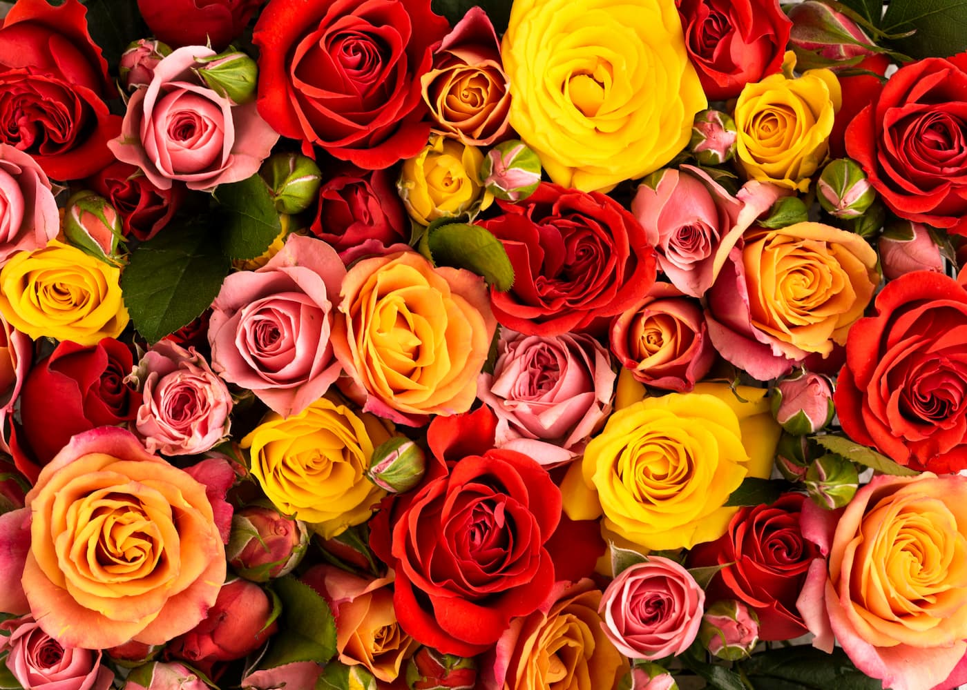 Papier peint floral bouquet de roses