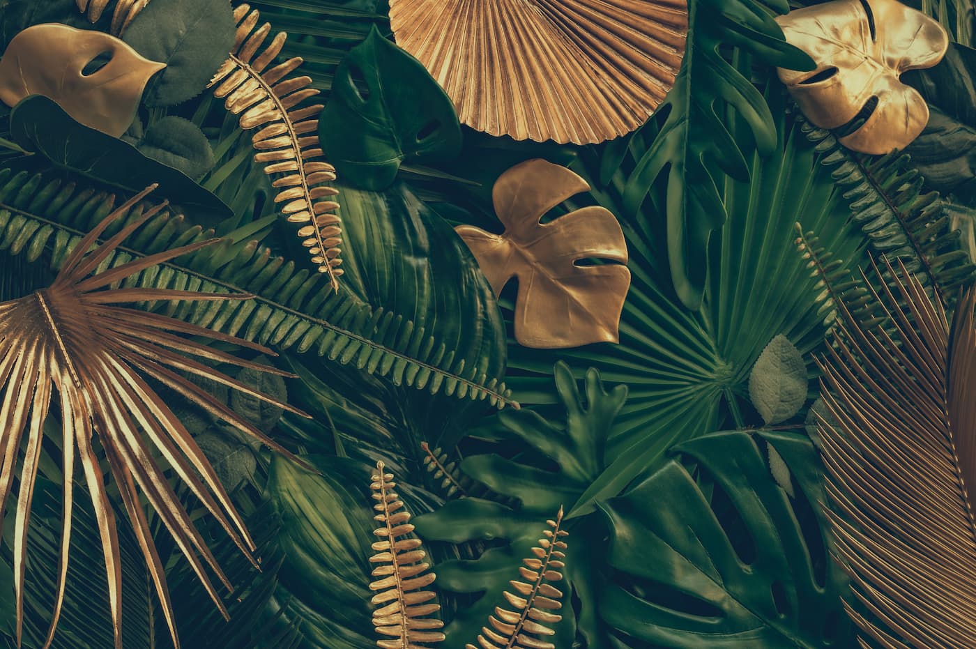 Papier peint feuillage jungle tropicale