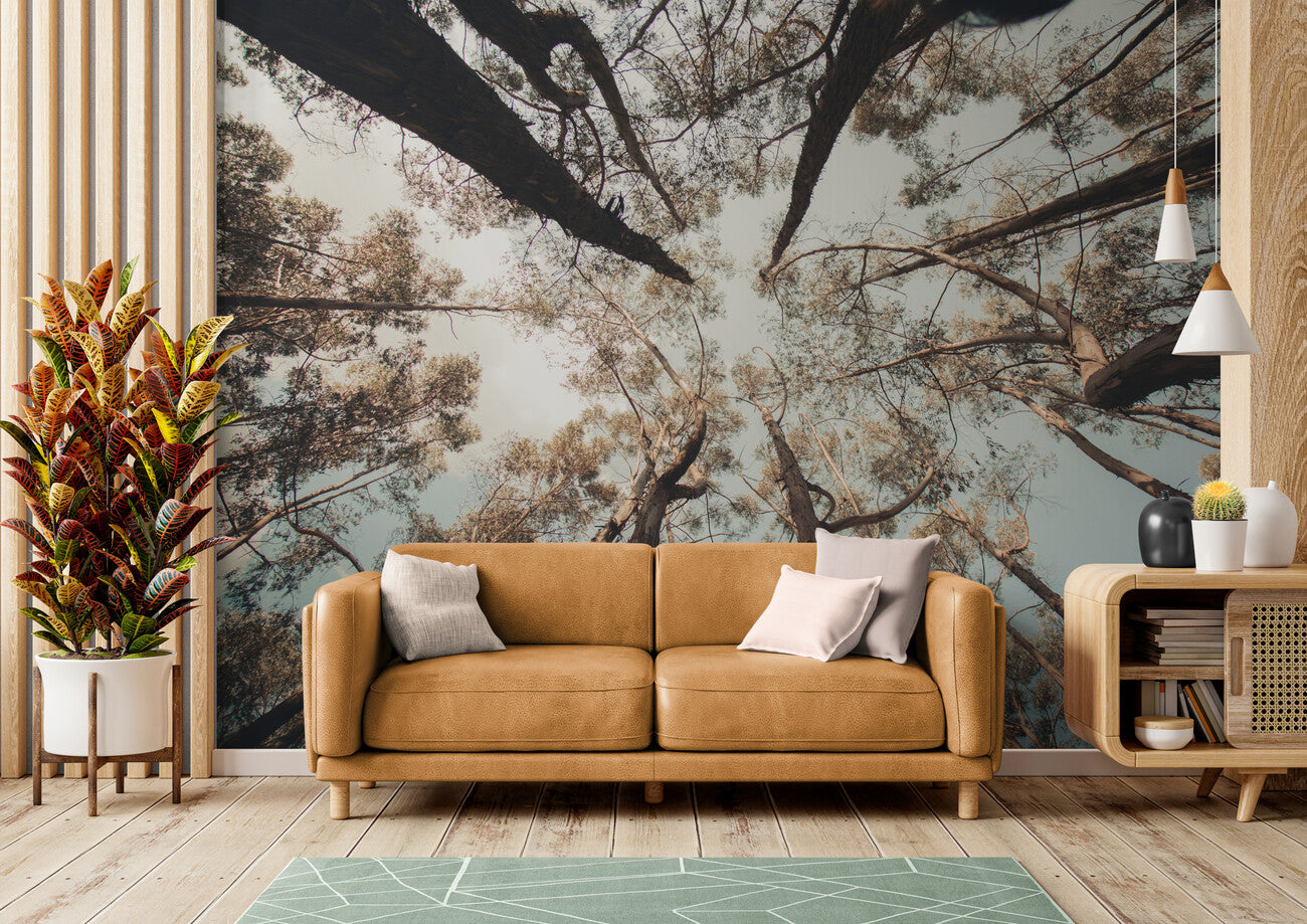 Papier peint ciel de forêt panoramique