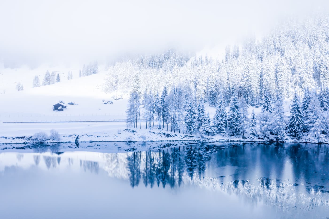 Papier peint forêt enneigée et lac gelé
