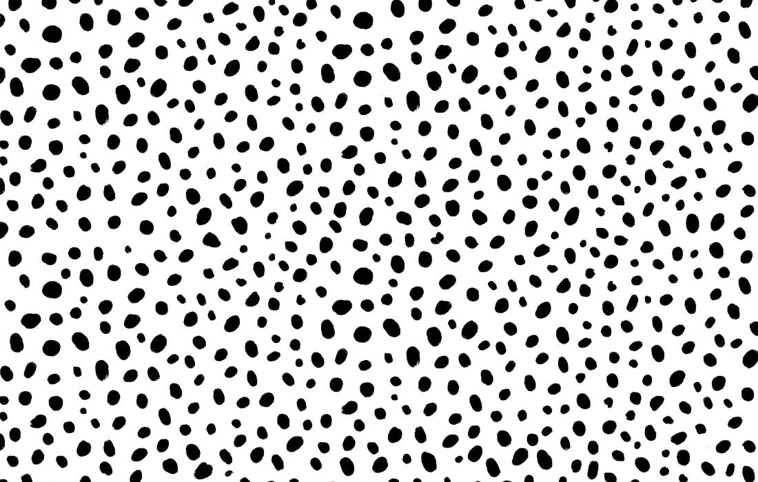 Papier peint noir et blanc tapisserie murale