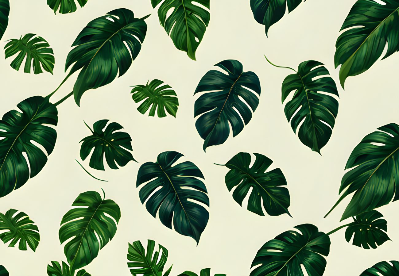 Papier peint feuille de monstera