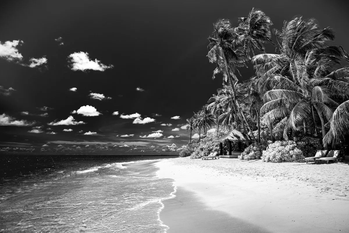 Papier peint paysage tropical sombre