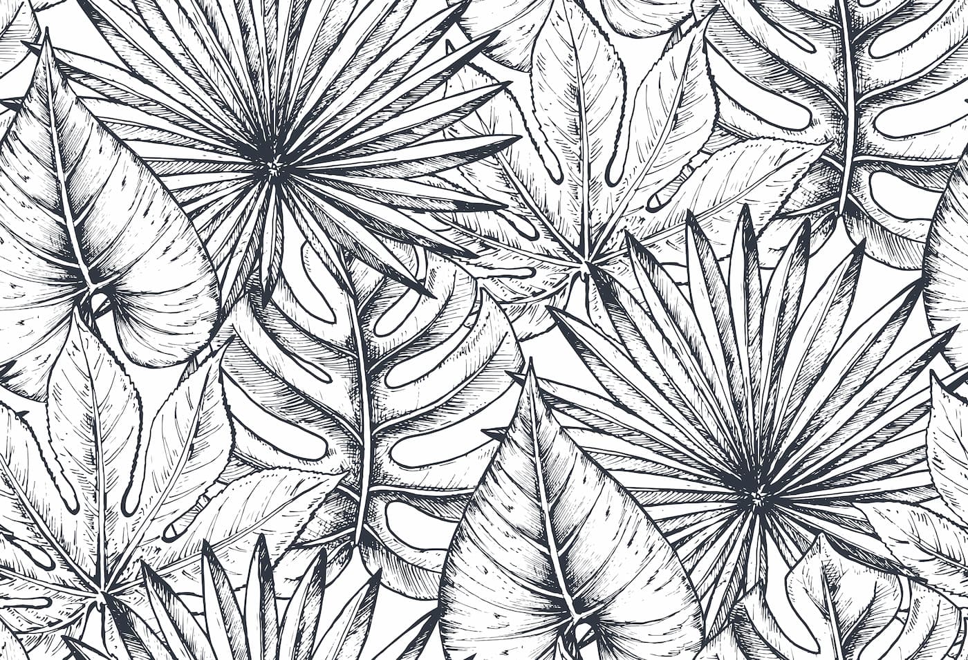 Papier peint feuillage tropical noir et blanc