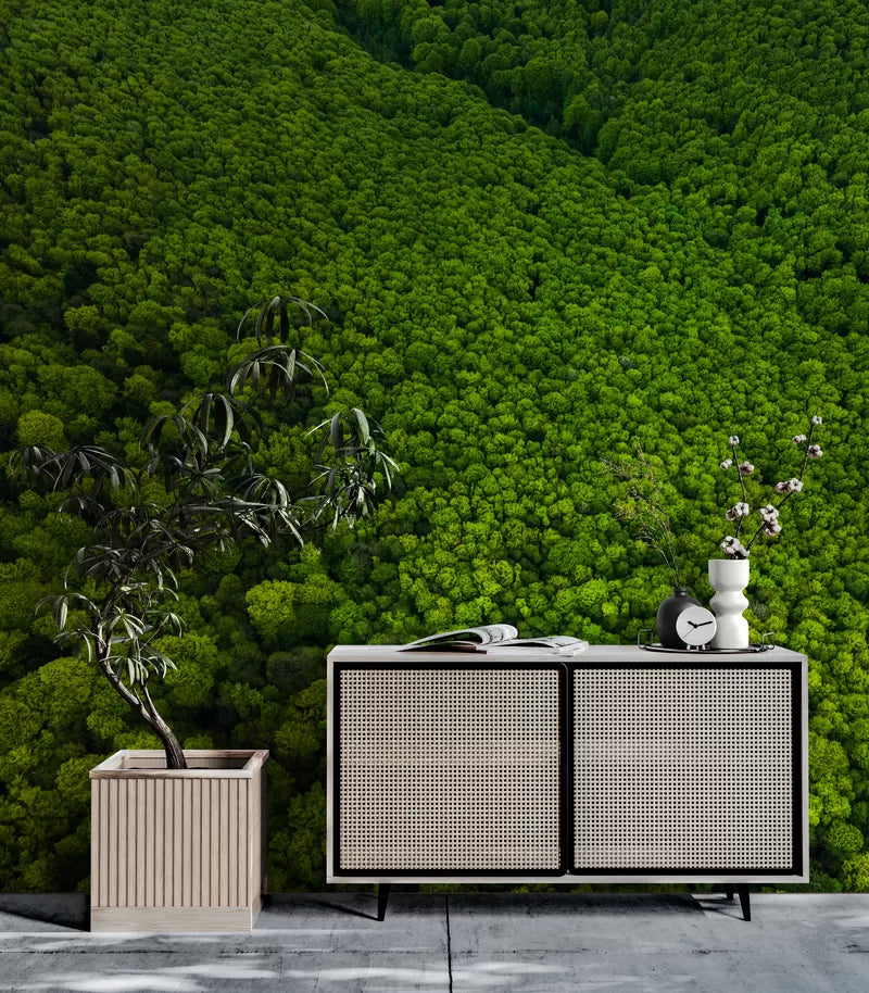 Papier peint forêt de pins vue du ciel