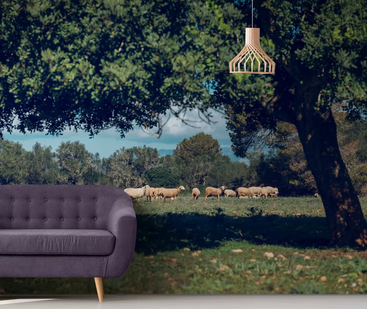 Papier peint moutons dans l'herbe