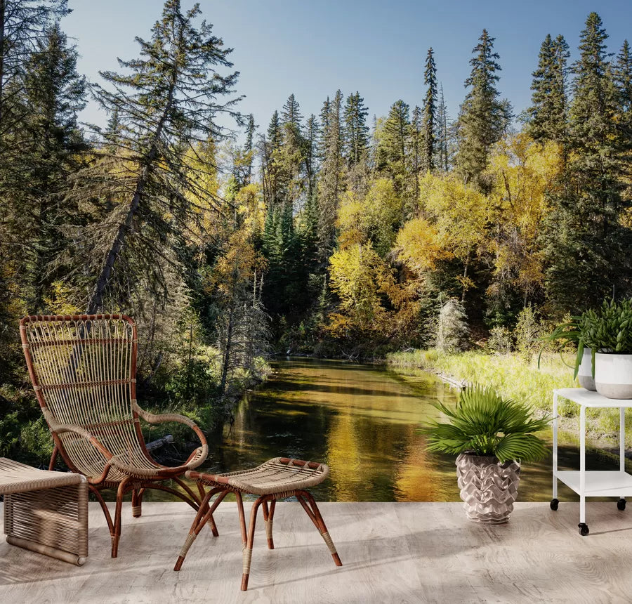 Papier peint arbres aux bord de l'eau