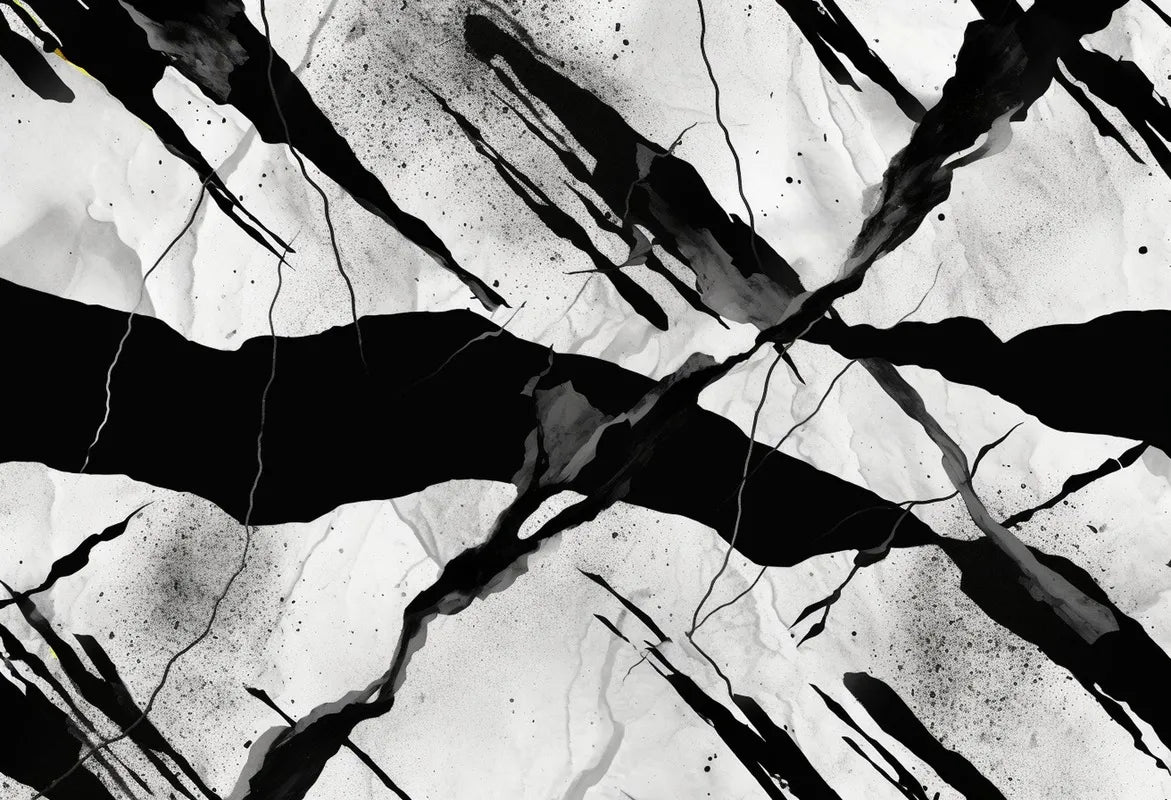 Papier peint craquelure noir et blanc