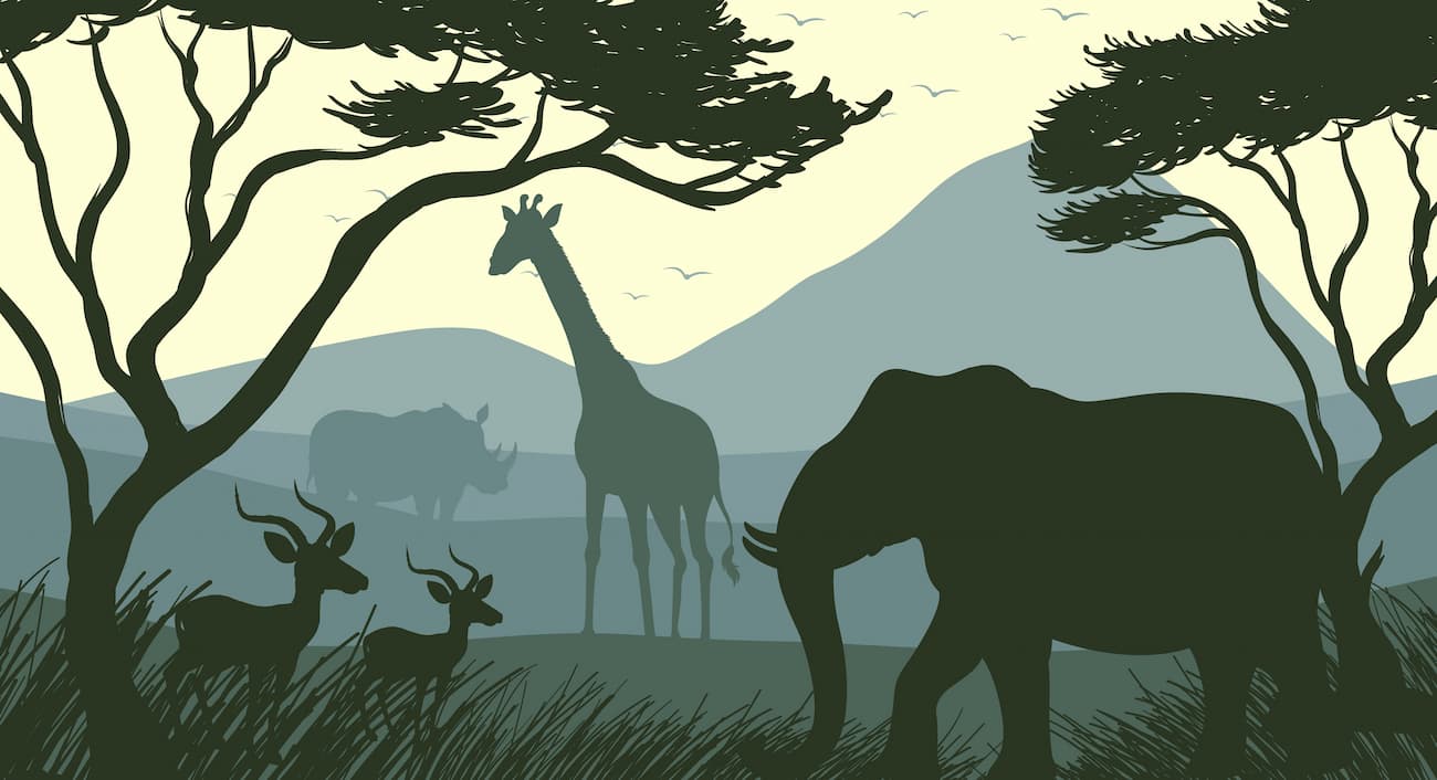Papier‎‎ peint‎‎ animaux‎‎ tropicaux