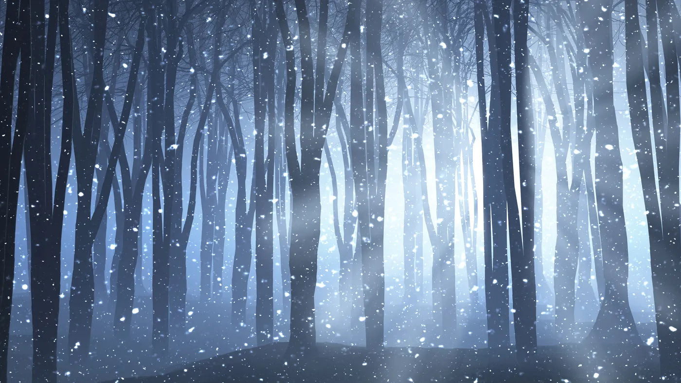 Papier peint panoramique forêt gelée