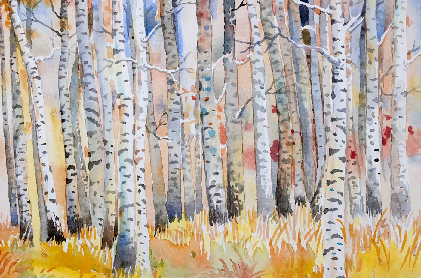 Papier peint forêt de bouleaux aquarelle