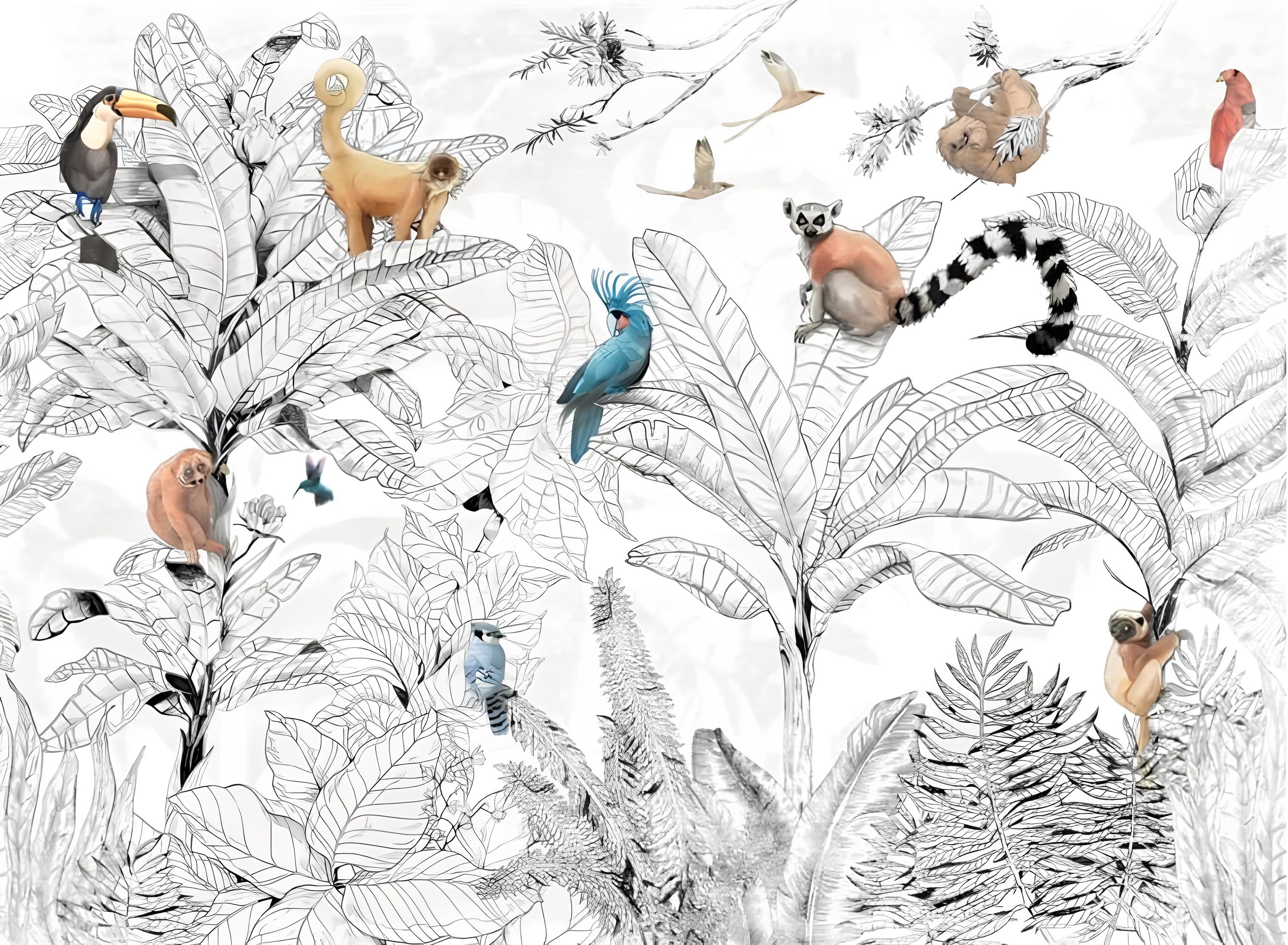 Papier peint noir et blanc forêt tropicale et animaux colorés