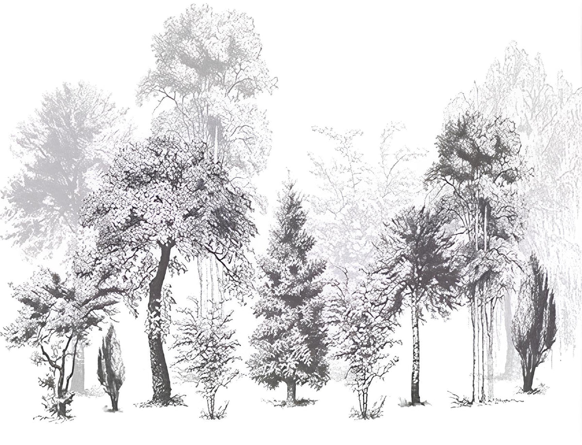 Papier‎ peint‎ noir‎ et‎ blanc‎ arbres‎ design