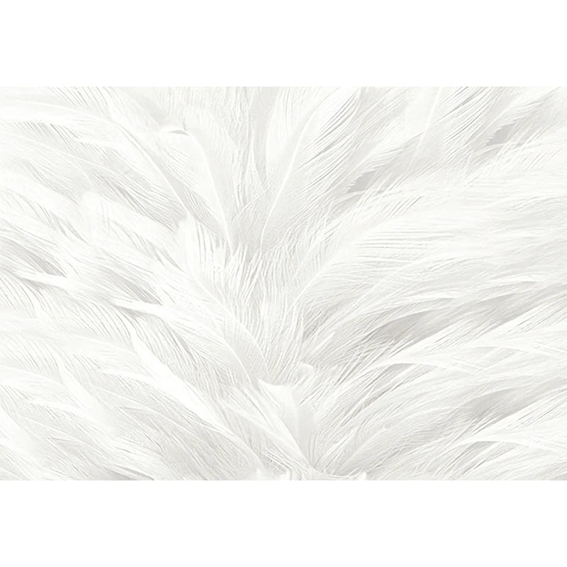 Papier peint design plumes blanches