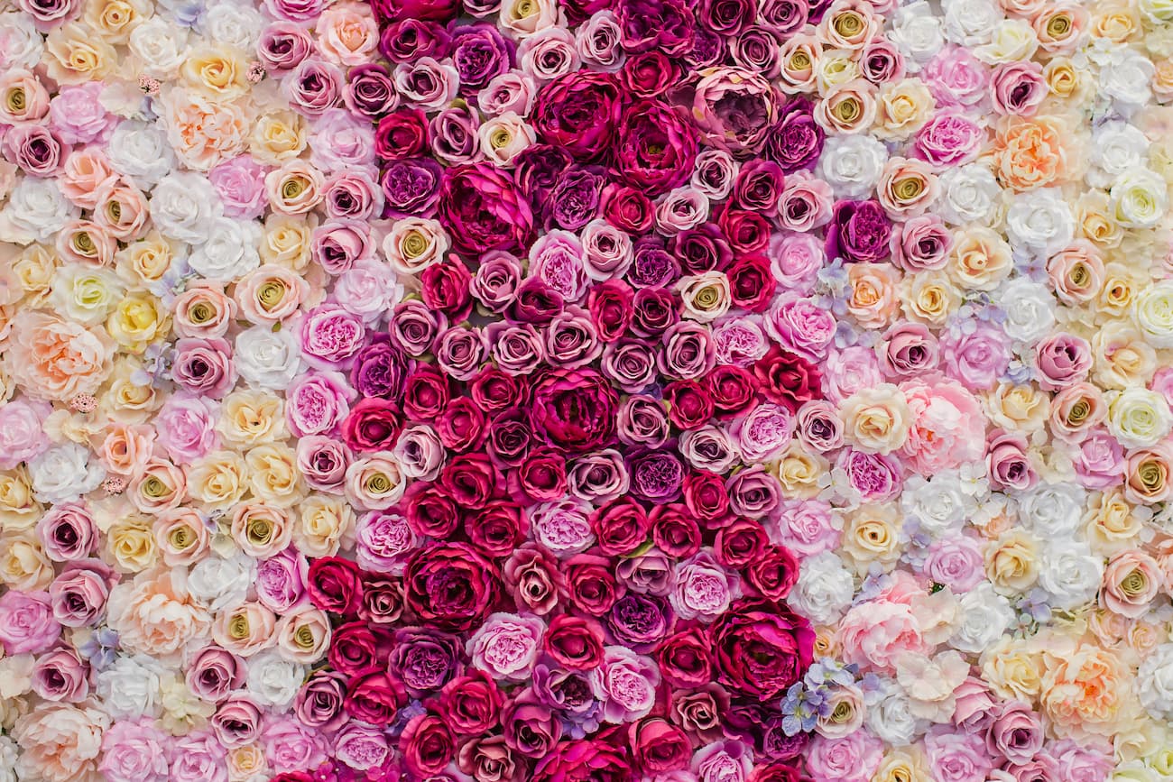 Papier‎ peint‎ 3D‎ floral‎ rose