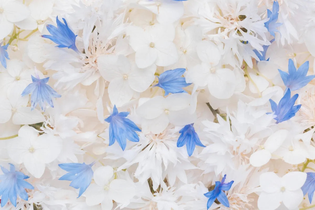 Papier peint vintage fleurs blanches