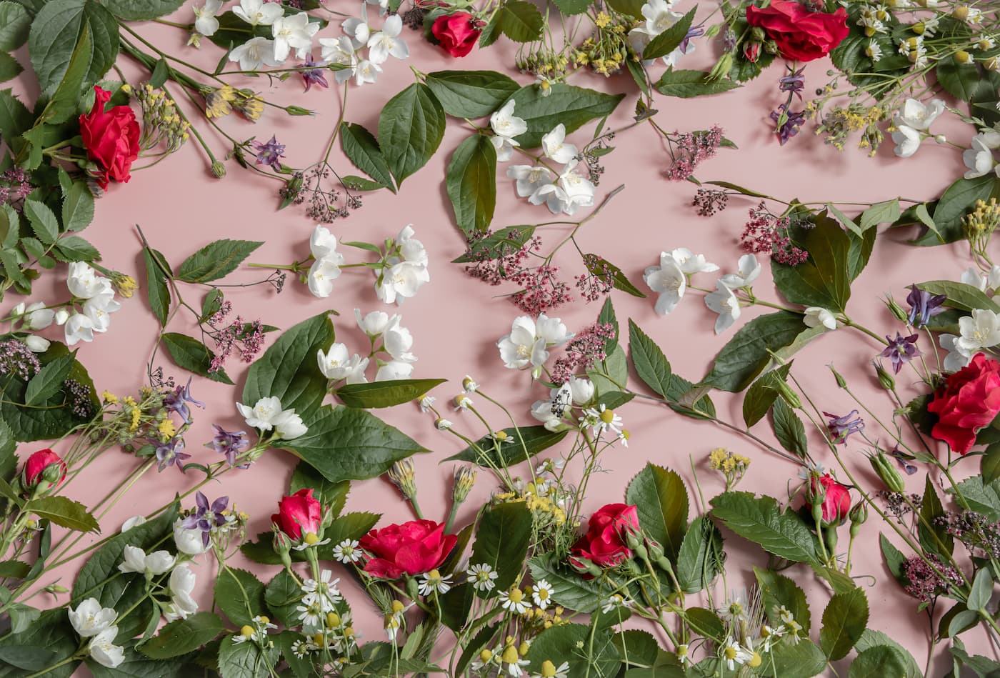 Papier peint floral roses fleuries