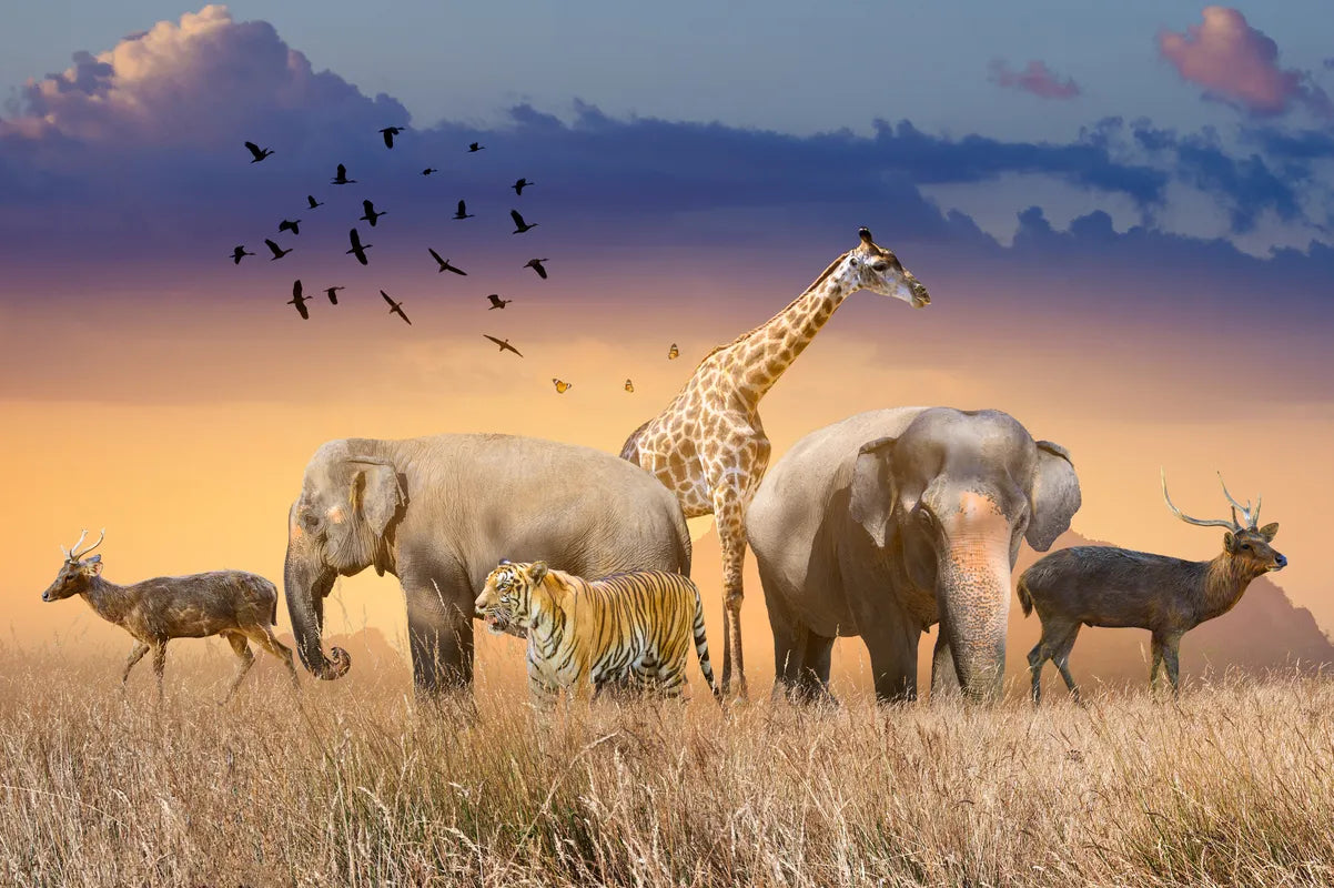 Papier peint paysage animaux de la savane