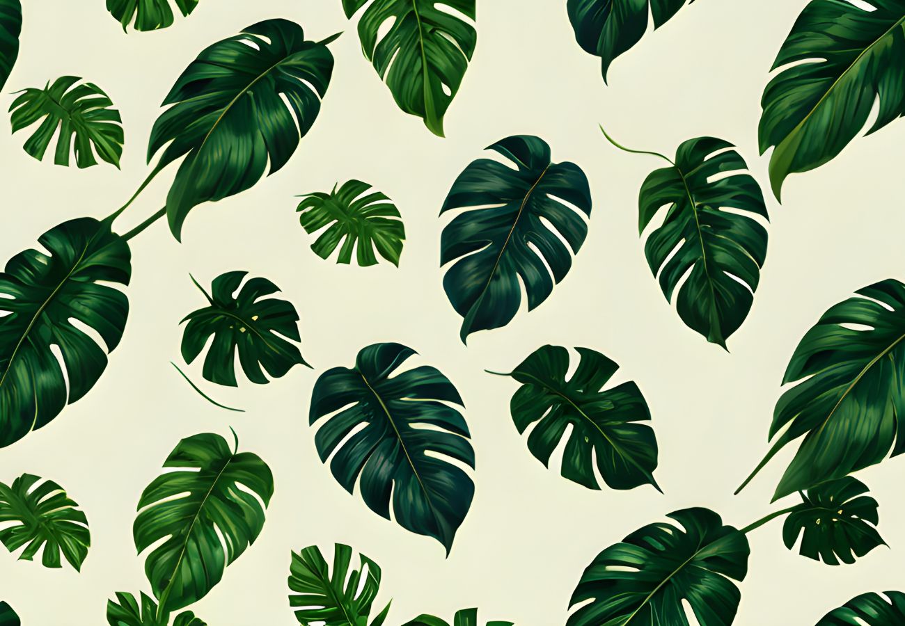 Papier‎ peint‎ feuille‎ de‎ monstera