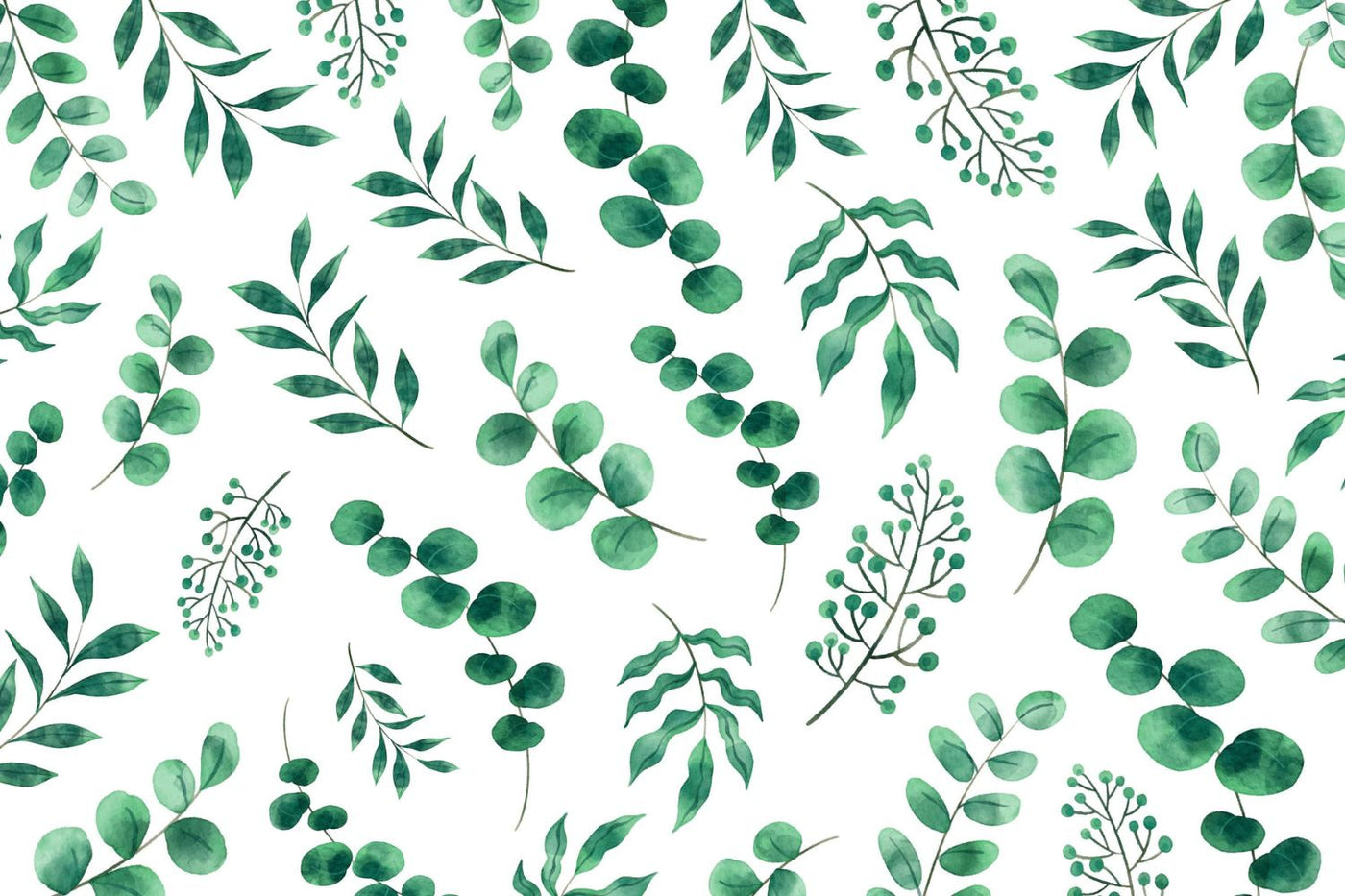Papier‎‎ peint‎‎ feuilles‎‎ d'eucalyptus