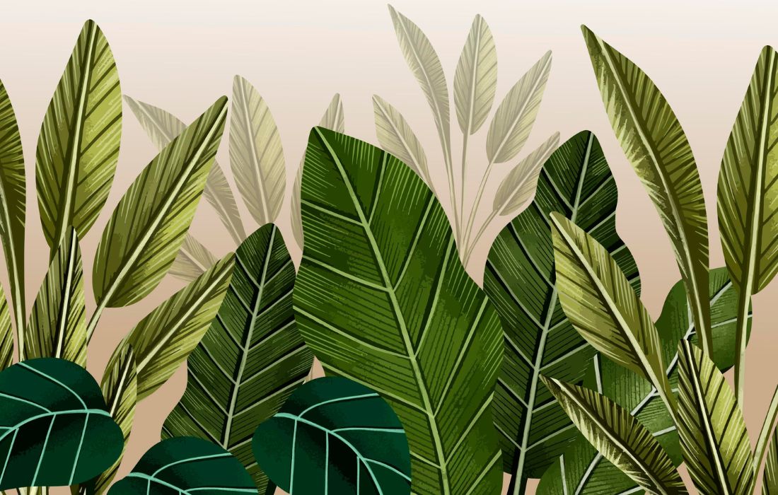 Papier‎‎ peint‎‎ jungle‎‎ couloir