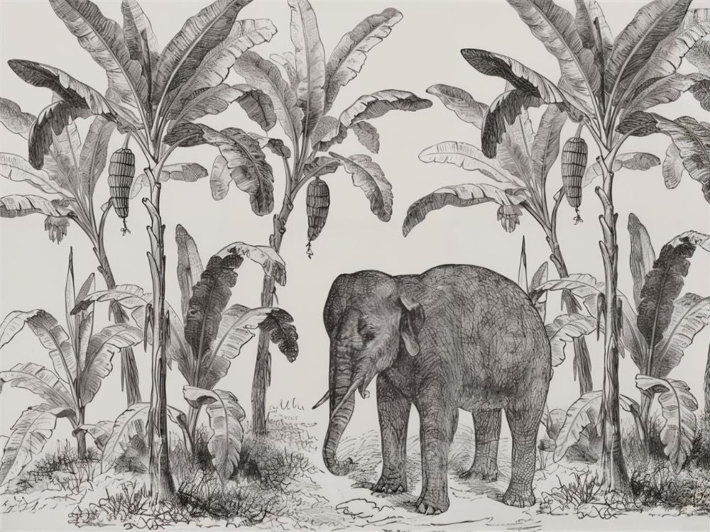 Papier peint panoramique noir et blanc éléphant dans sa jungle tropicale