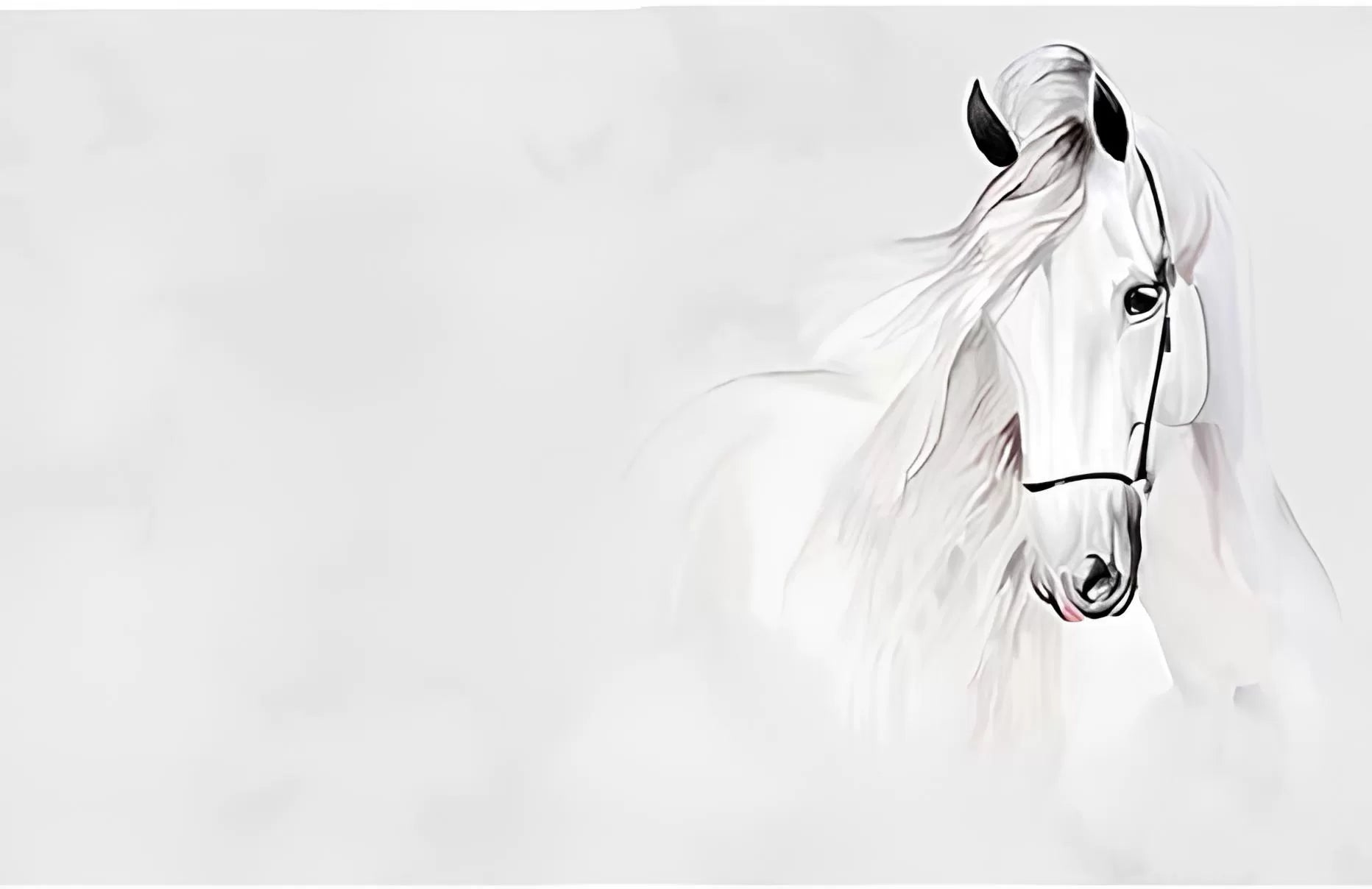 Papier peint dessin cheval noir et blanc