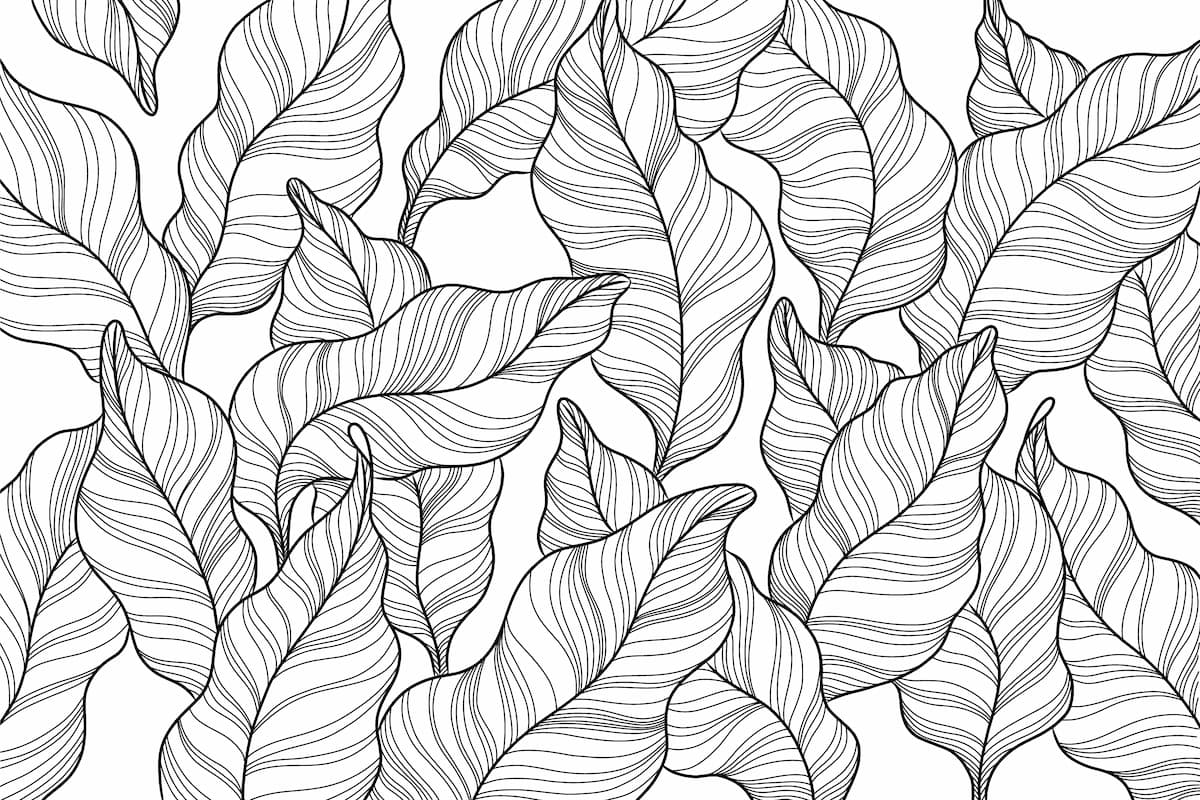 Papier‎ peint‎ feuillage‎ abstrait