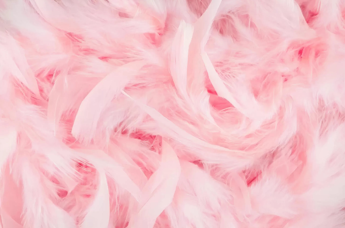 Papier‎ peint‎ enfant‎ plumes‎ roses