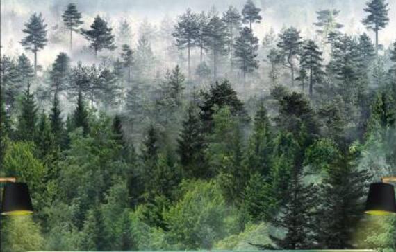 Papier peint paysage panoramique forêt brumeuse