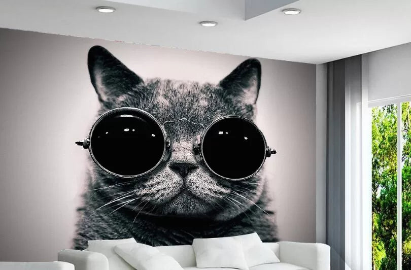 Papier peint chat et lunette de soleil