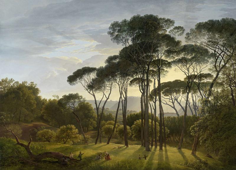 Papier peint forêt tropicale