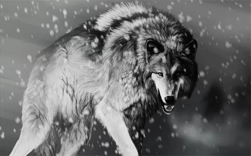 Papier‎ peint‎ loup‎ arctique‎ noir‎ et‎ blanc