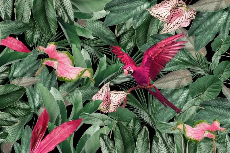 Papier‎ peint‎ feuillage‎ tropical‎ et‎ perroquet