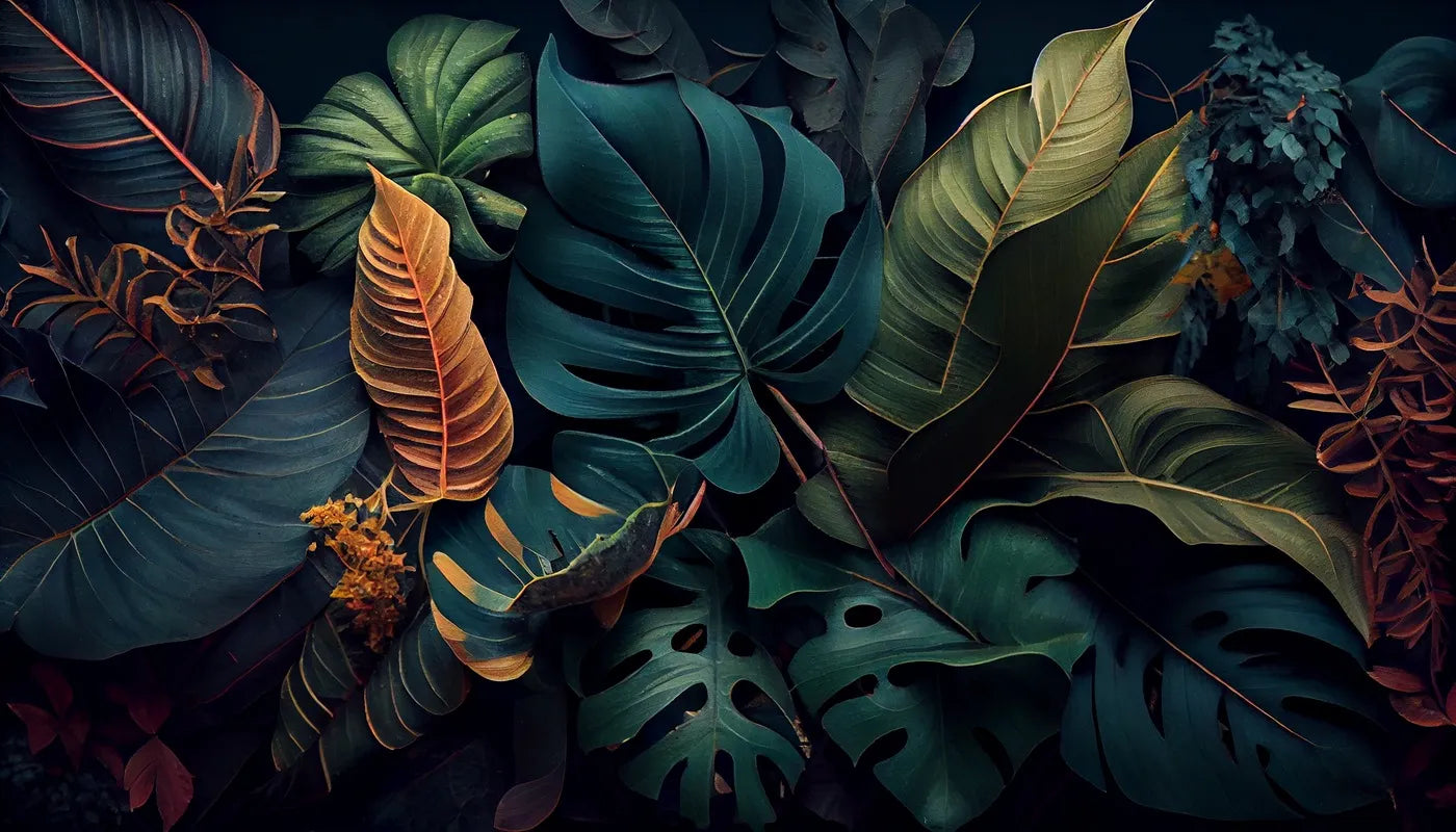 Papier peint illustration feuillage tropical