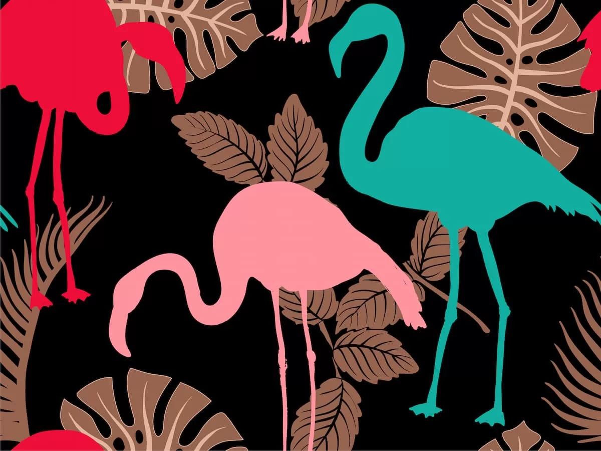 Papier‎ peint‎ feuillage‎ et‎ flamants‎ colorées